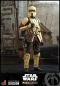 Preview: |HOT TOYS - Star Wars - The Mandalorian - Shoretrooper